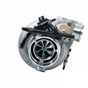 Borg Warner EFR