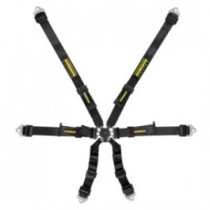 Centura Schroth Flexi 2x2